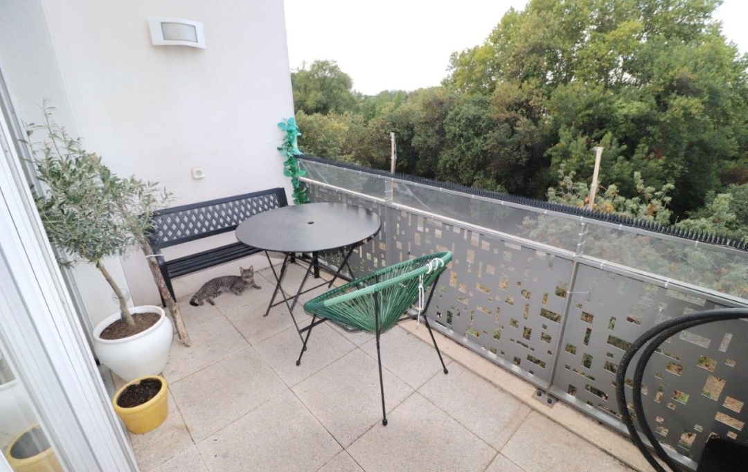 M.T.I. : Apartment | PERPIGNAN (66000) | 58 m2 | 148 000 € 